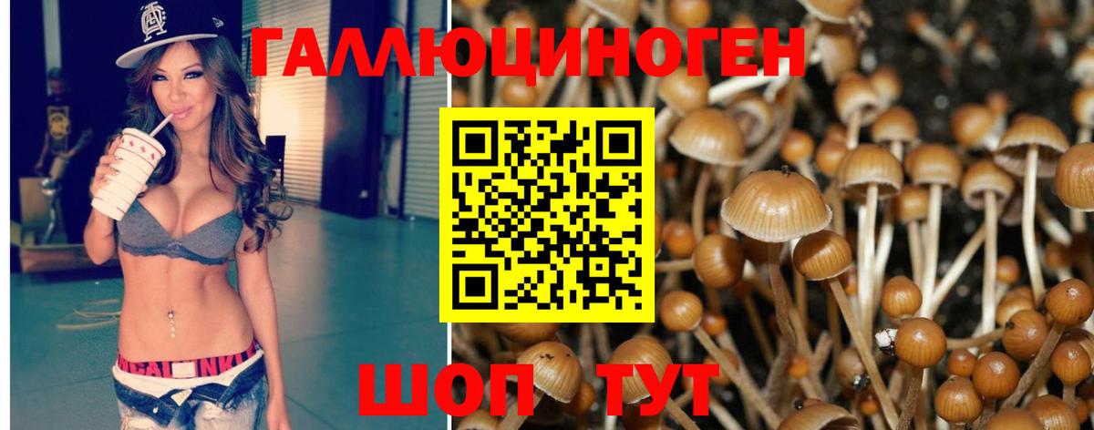 Галлюциногенные грибы Psilocybine cubensis Луховицы